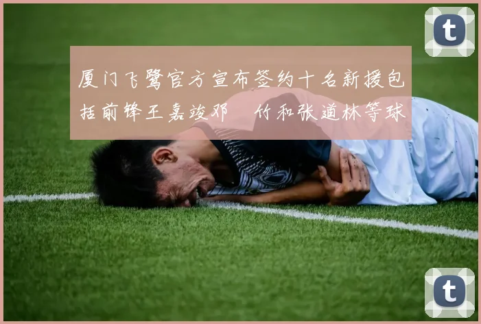 厦门飞鹭官方宣布签约十名新援包括前锋王嘉竣邓棽竹和张道林等球员