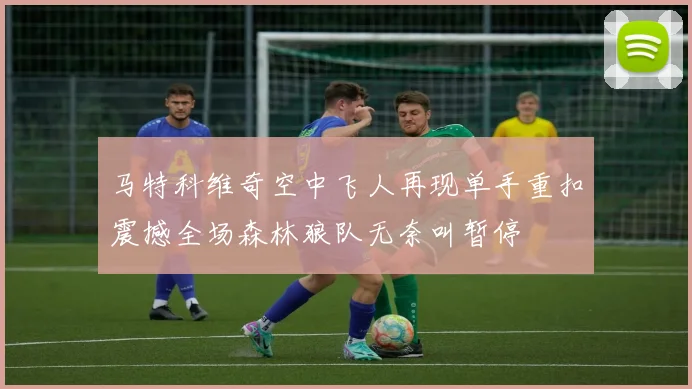 马特科维奇空中飞人再现单手重扣震撼全场森林狼队无奈叫暂停