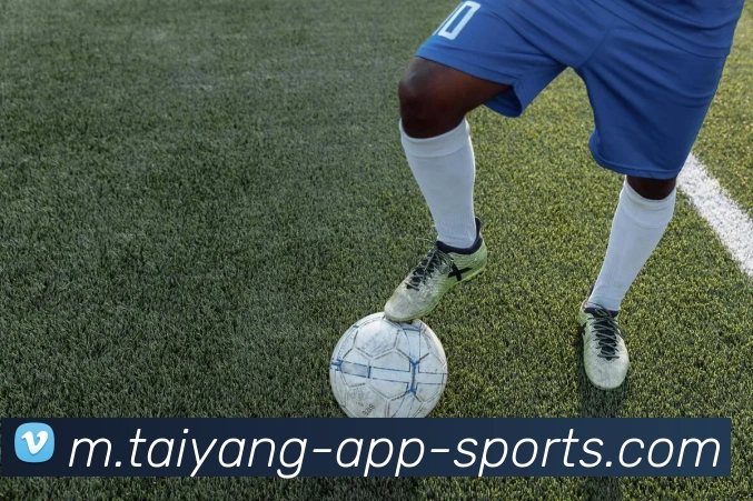 太阳城平台生态图